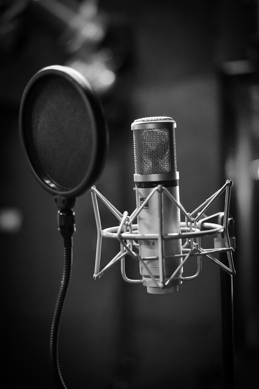 Recording the vocals